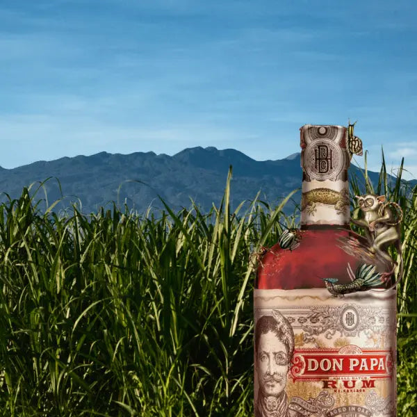 gid://shopify/MediaImage/45327260320087