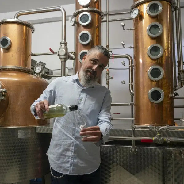 gid://shopify/MediaImage/44770942615895