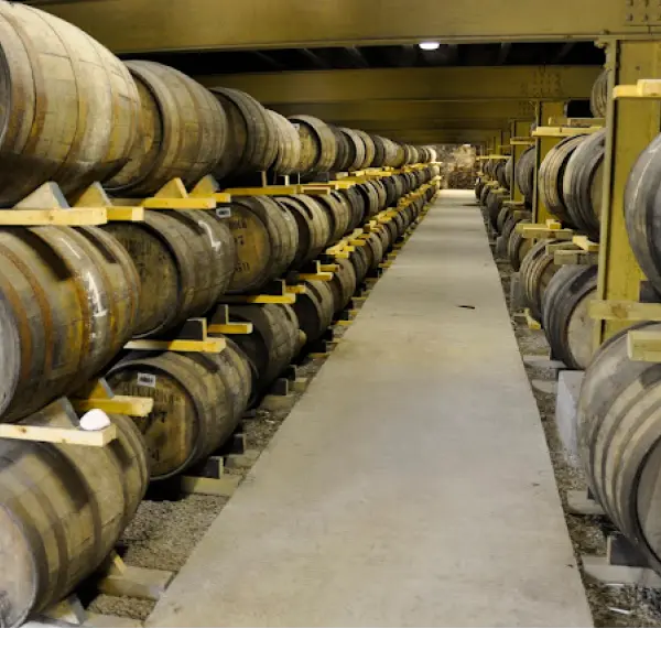 gid://shopify/MediaImage/44859962458455