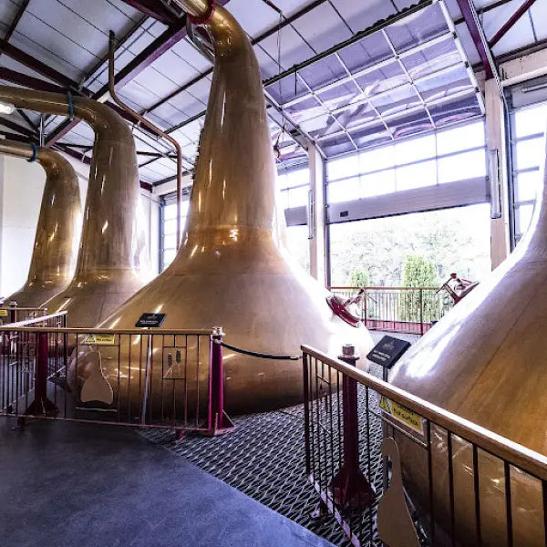 gid://shopify/MediaImage/44728051827031