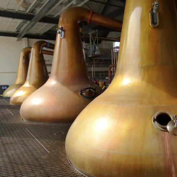 gid://shopify/MediaImage/44768266715479