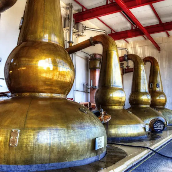 gid://shopify/MediaImage/44881307074903