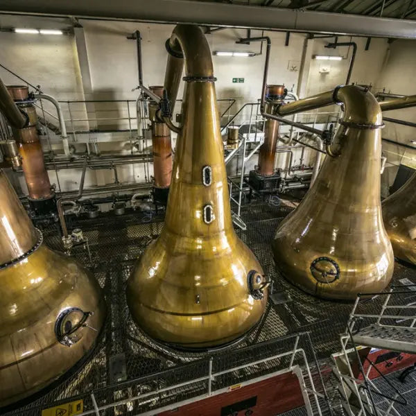 gid://shopify/MediaImage/46659789029719