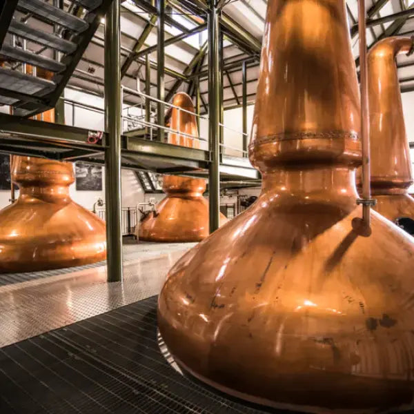 gid://shopify/MediaImage/44757617312087