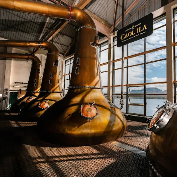 gid://shopify/MediaImage/44835289071959