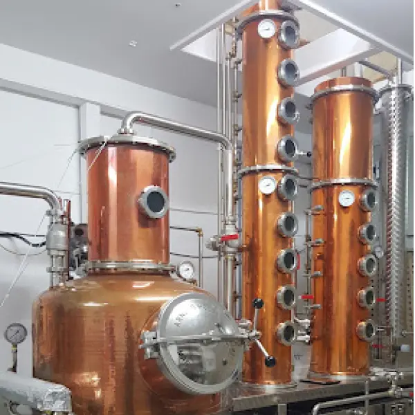 gid://shopify/MediaImage/44770948645207