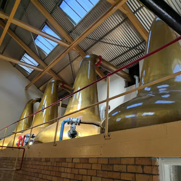 gid://shopify/MediaImage/44738119041367