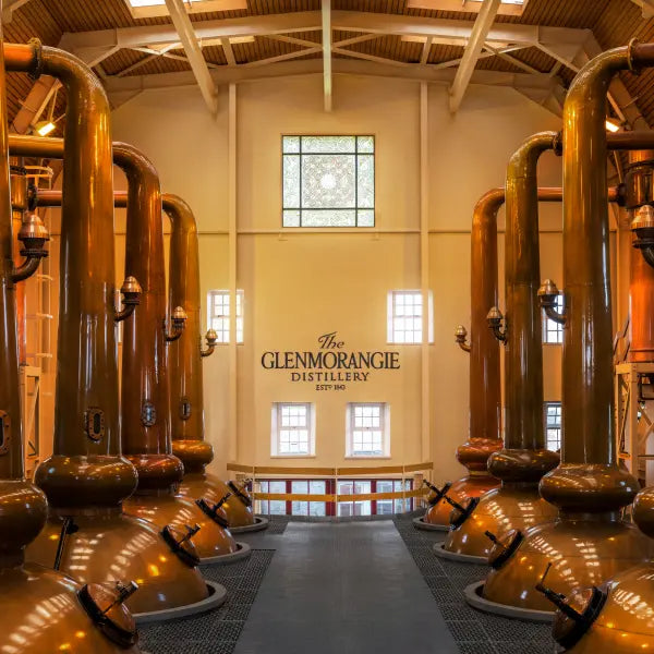 gid://shopify/MediaImage/44903008174423