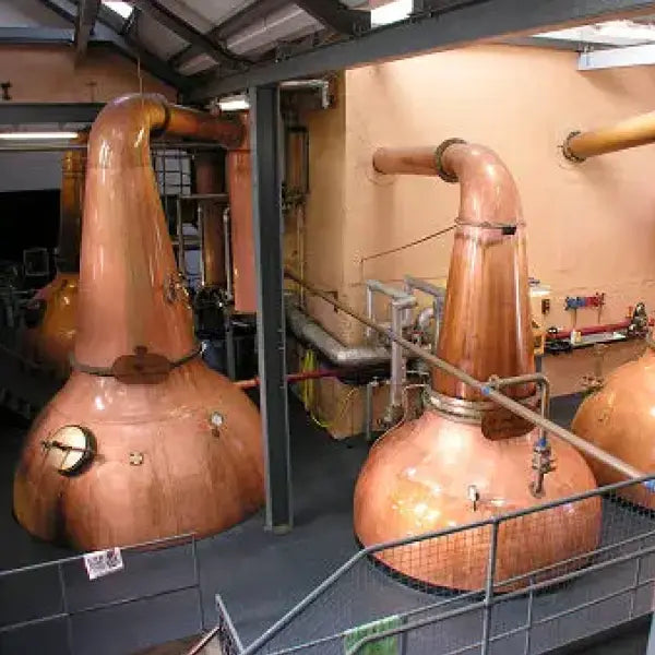 gid://shopify/MediaImage/44854874243415