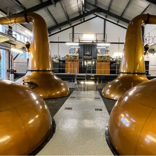 gid://shopify/MediaImage/44880738255191