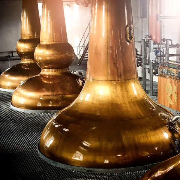 gid://shopify/MediaImage/44793949946199