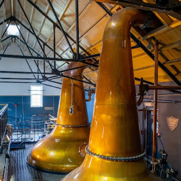 gid://shopify/MediaImage/44846789525847