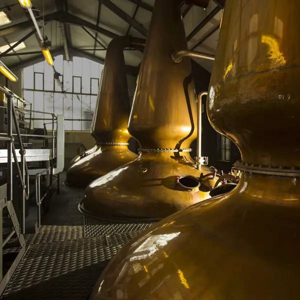 gid://shopify/MediaImage/46659217949015