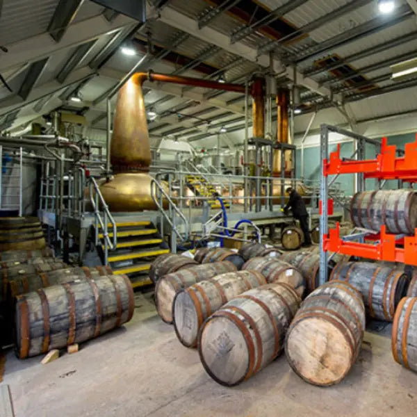 gid://shopify/MediaImage/46659535700311