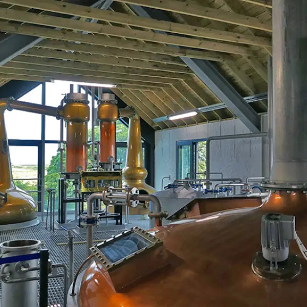 gid://shopify/MediaImage/46659257958743