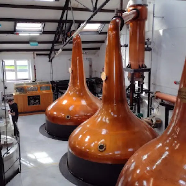 gid://shopify/MediaImage/44801847263575