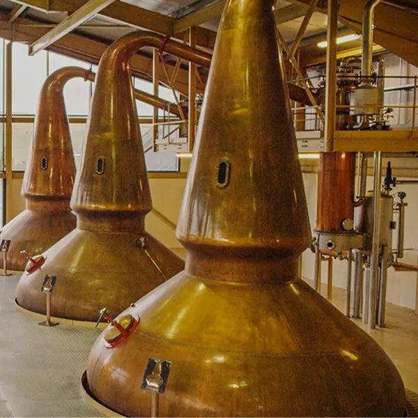 gid://shopify/MediaImage/44898410725719