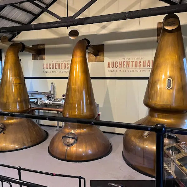 gid://shopify/MediaImage/44764403007831