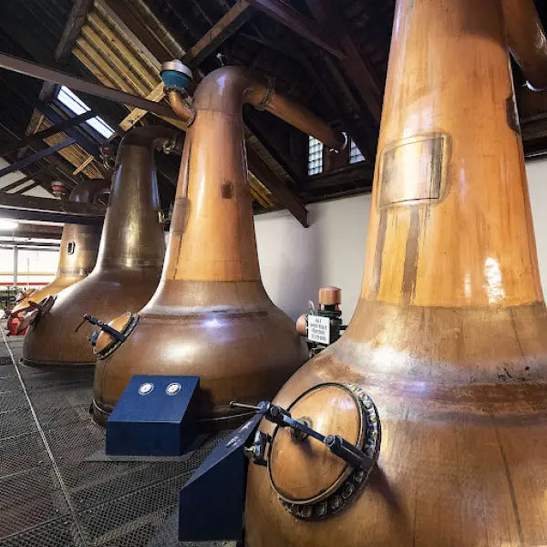 gid://shopify/MediaImage/44782961656151