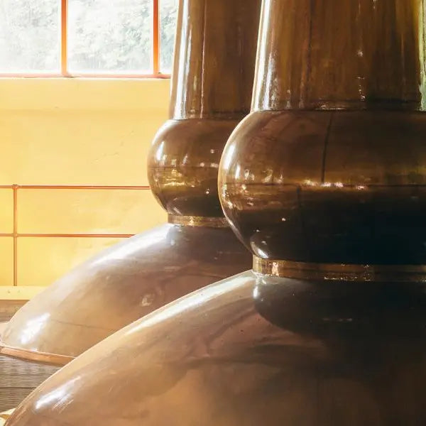 gid://shopify/MediaImage/44903497466199