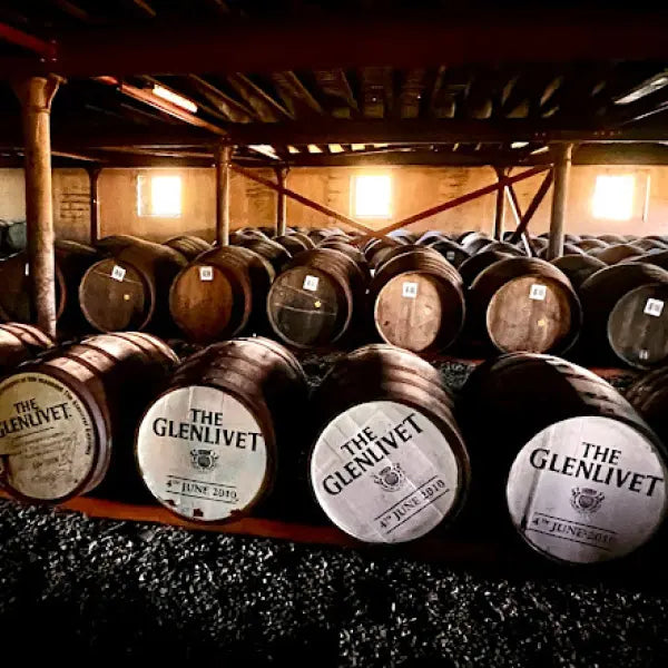 gid://shopify/MediaImage/44898410824023