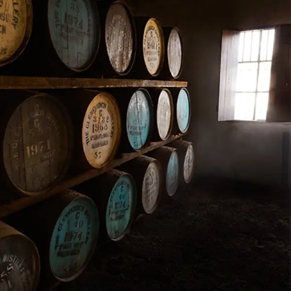 gid://shopify/MediaImage/44896163397975