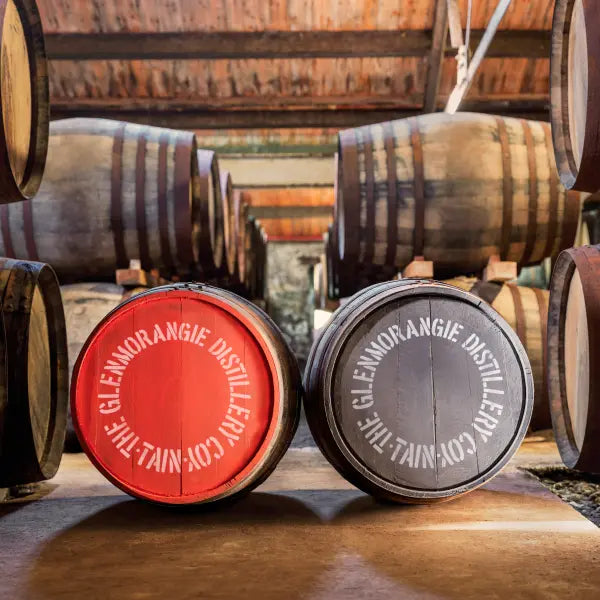 gid://shopify/MediaImage/44903008141655