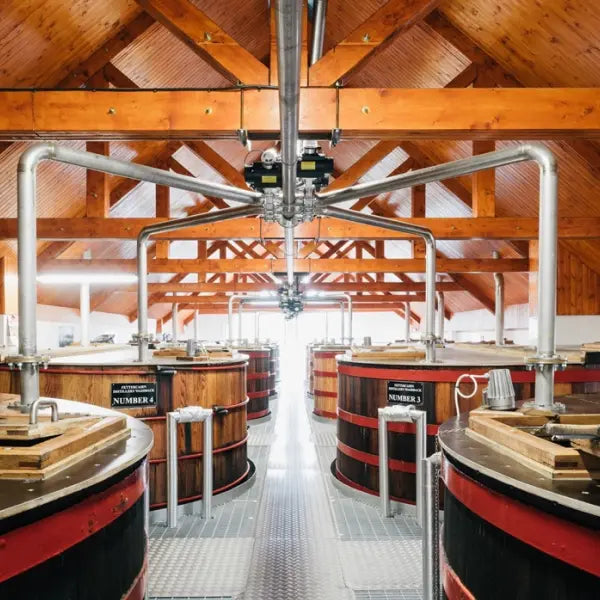 Gärbottiche aus Holz in der Fettercairn Distillery
