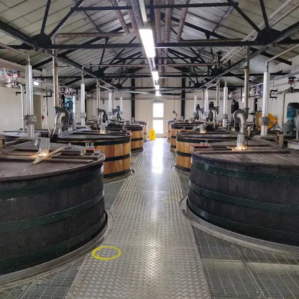 gid://shopify/MediaImage/46659791946071