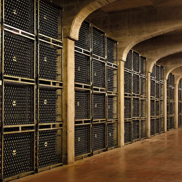 gid://shopify/MediaImage/58030356300119