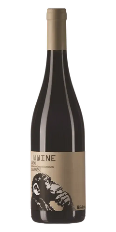Federici WWWine IGT, berühmter Cesanese Rotwein aus Latium mit intensiven Aromen und 13,5 % Vol.
