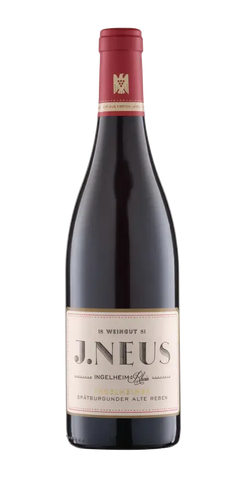 VDP. Weingut J. Neus, Spätburgunder, aus Rheinhessen mit dunklen Waldfrüchten.