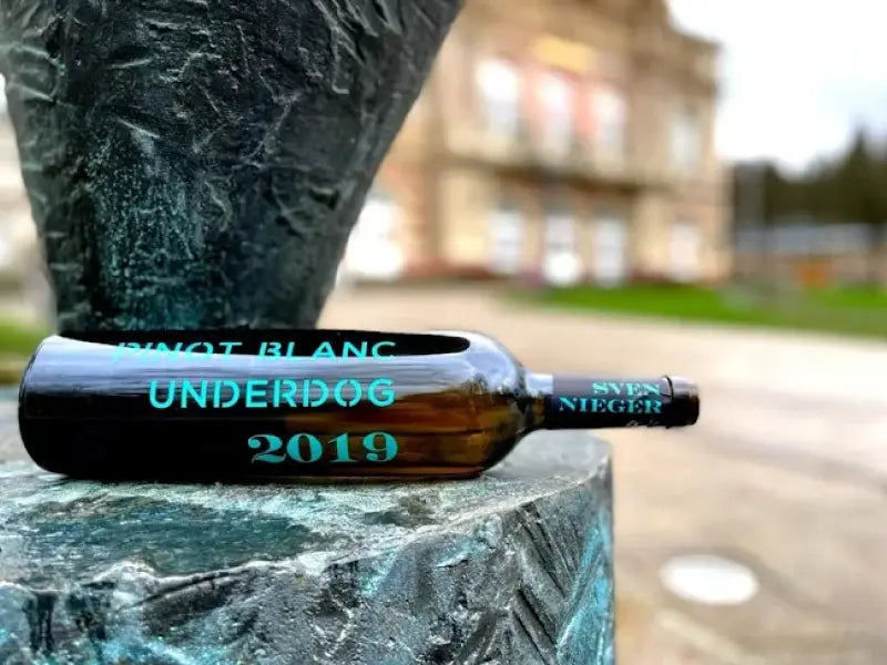 gid://shopify/MediaImage/56954129482071