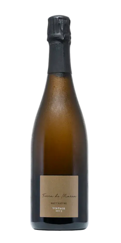 Terra de Marca Brut Nature Vintage, spanischer Cava mit feiner Perlage und Aromen von Orangenzeste.