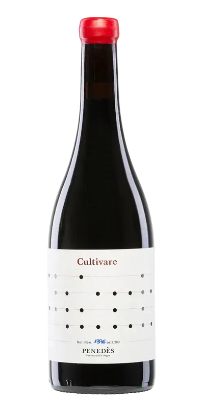 Vallformosa - Cultivare Sumoll Samsó