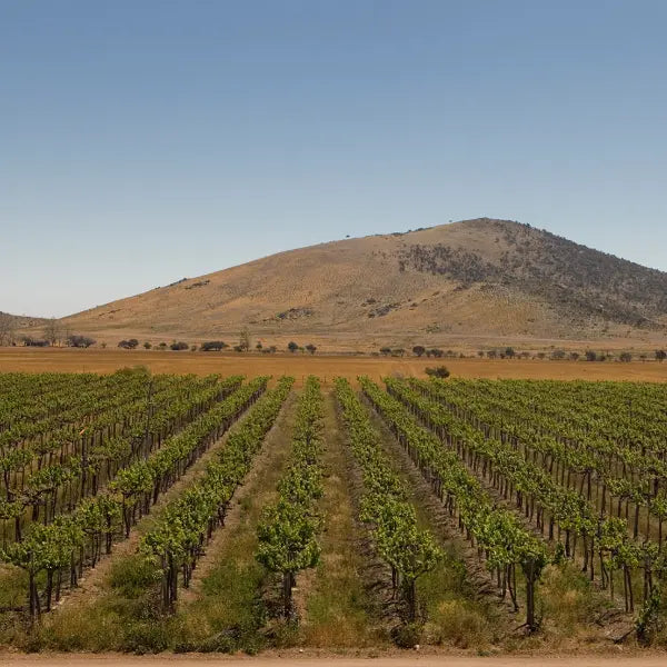 gid://shopify/MediaImage/57797461967191