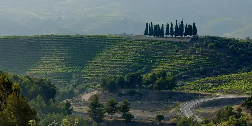 Mas d'en Gil: Weingut mit Weinbergen und Zypressen in malerischer Landschaft des Priorats.