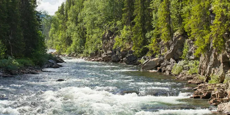 Abhainn: Flusslandschaft mit kristallklarem Wasser und grünen Ufern, ideal für Whisky-Destillerien.