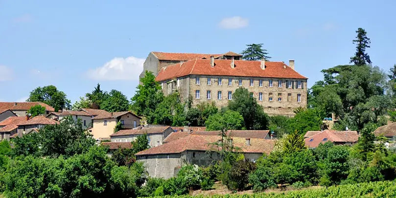 Echo Indigo Blanc – Aussicht auf das Weingut Plaimont im Südwesten Frankreichs, umgeben von Weinbergen.