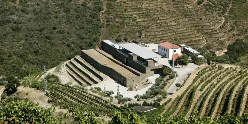 Niepoort Água Viva Espumante Bruto 2016: Ansicht des Weinguts Niepoort umgeben von Weinbergen in Bairrada.