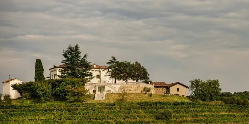 Erfrischender Pinot Grigio vom Weingut Torre Rosazza, eingebettet in die Keller und Weinberge von Friaul.