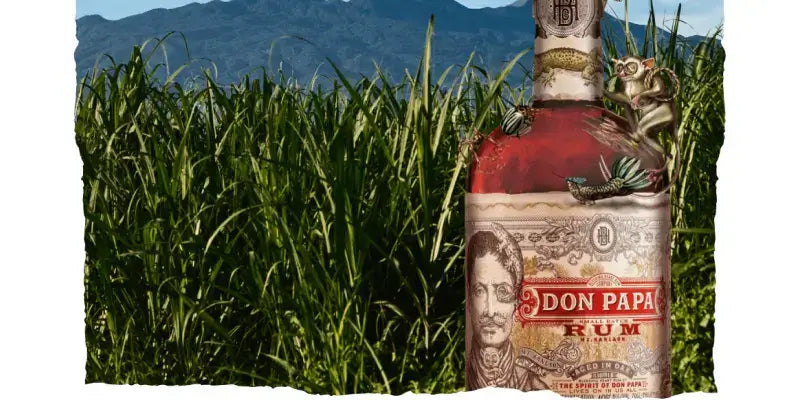 Don Papa Rum vor grünen Zuckerrohrfeldern und dem Vulkan Mount Kanlaon im Hintergrund, ein Symbol der philippinischen Natur.
