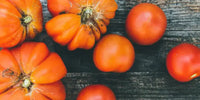Patrizia Feinkost und Paté Pomodoro