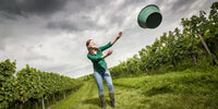 Sauvignon Blanc vom Weingut Bretz: Eine exotische Symphonie für den Gaumen