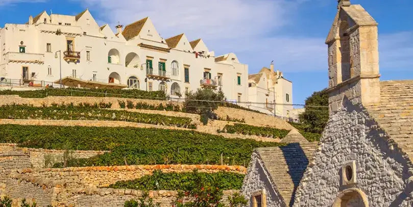 Weingut Terrecarsiche 1939 in Apulien, traditionelle Architektur und Weinberge im Hintergrund.