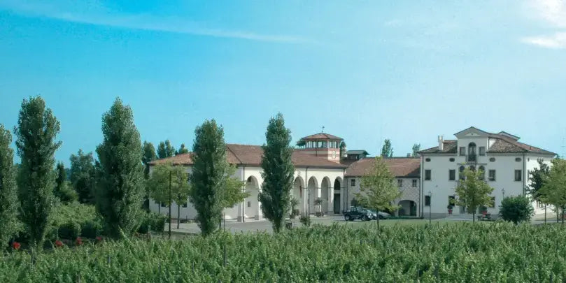 Paladin Sauvignon Weingut Paladin in Venetien, umgeben von Weinreben und Bäumen, bei strahlend blauem Himmel.