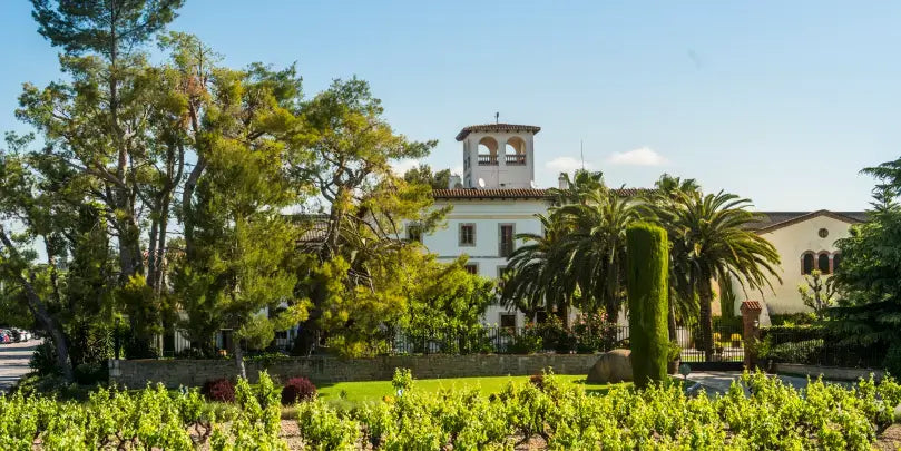 Vallformosa Cultivare: Weingut in Penedès mit Weinbergen und mediterraner Vegetation.