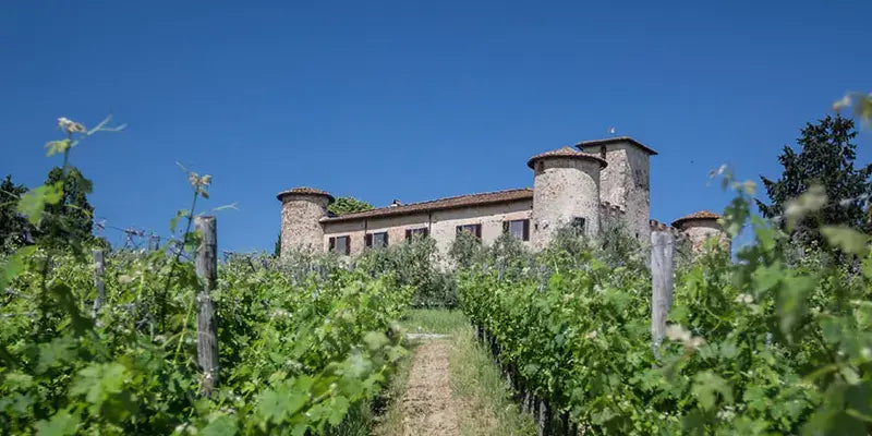 Castello di Gabbiano umgeben von Weinreben mit malerischem Himmel in der Toskana.
