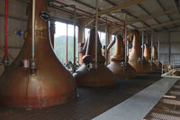 Kininvie – das stille Herz von Monkey Shoulder
