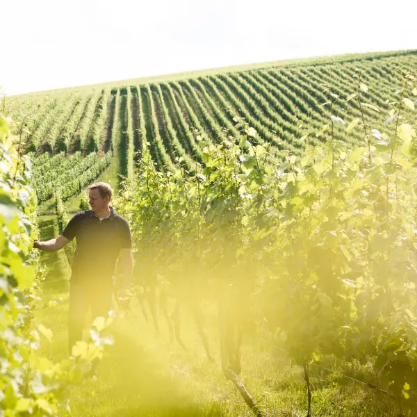 Weingut